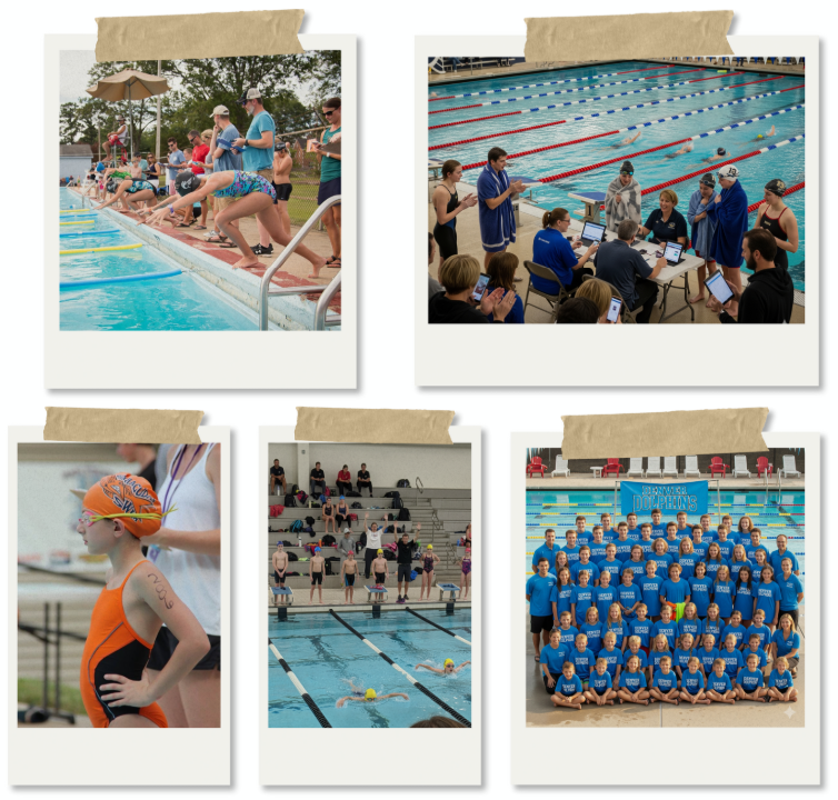 Swim meet collage: divers at start, team huddle poolside, young swimmer in orange, butterfly race, team wearing blue shirts.