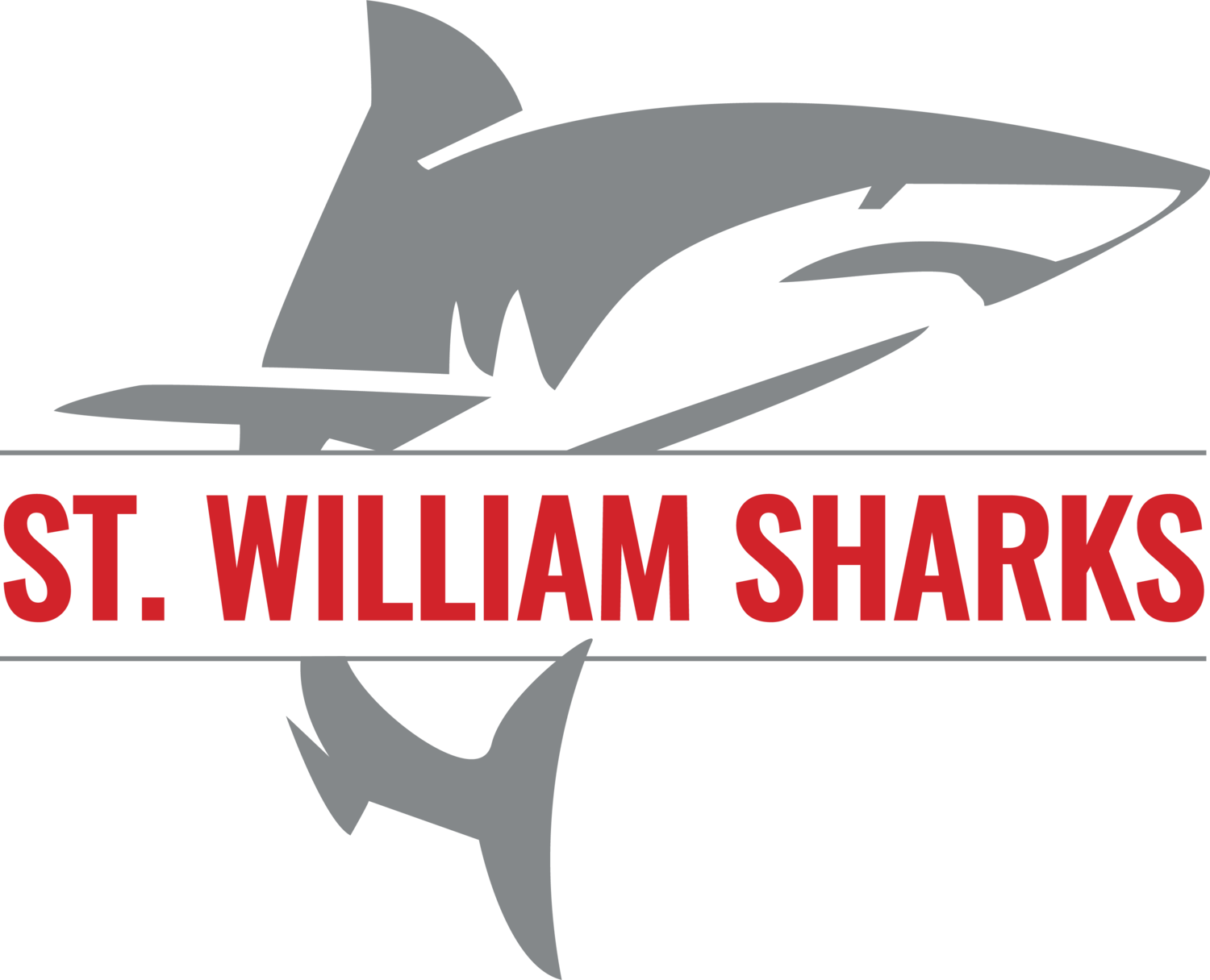 NEW+Sharks+Logo_FINAL_V2-1